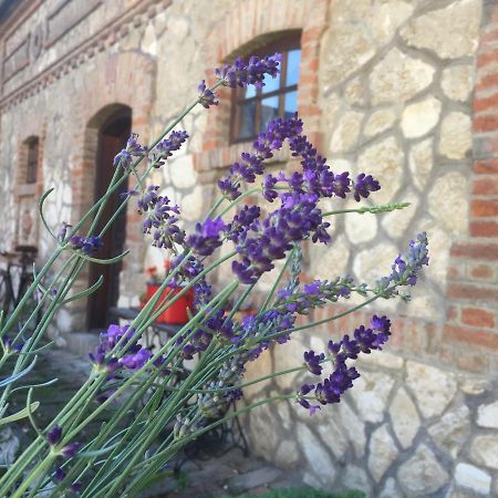Levendula Porta Es Pajtaszinhaz Hotel Orfu Bagian luar foto