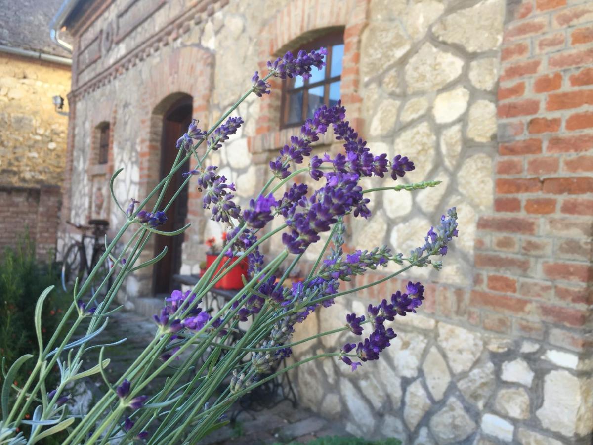 Levendula Porta Es Pajtaszinhaz Hotel Orfu Bagian luar foto