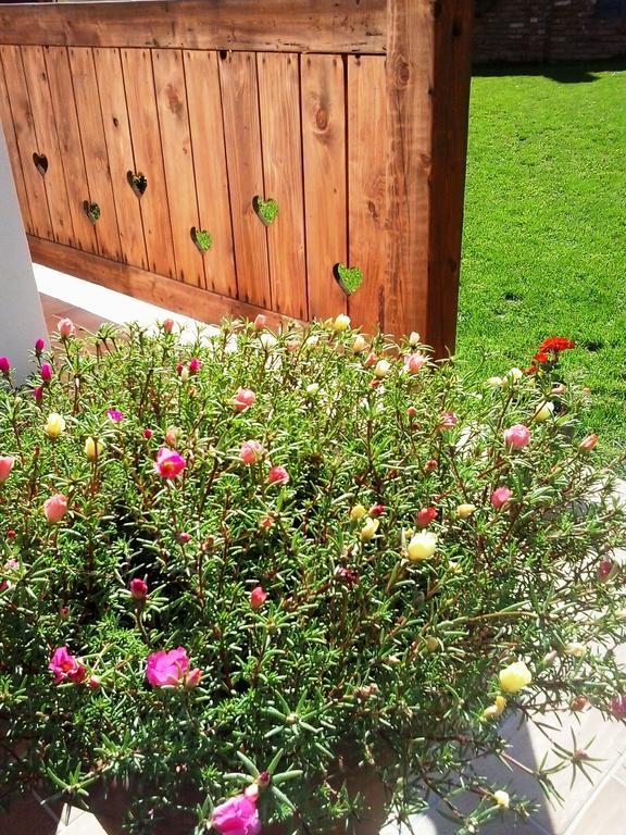 Levendula Porta Es Pajtaszinhaz Hotel Orfu Bagian luar foto