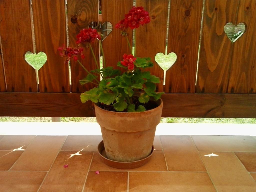 Levendula Porta Es Pajtaszinhaz Hotel Orfu Bagian luar foto